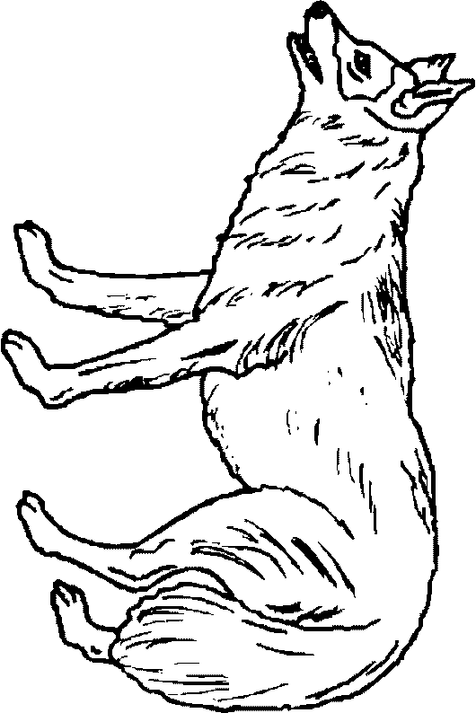 coloriage à dessiner masque loup garou