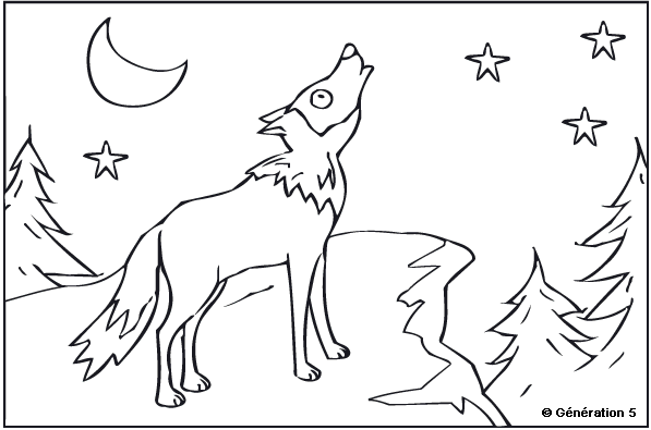 coloriage loup orianne lallemand