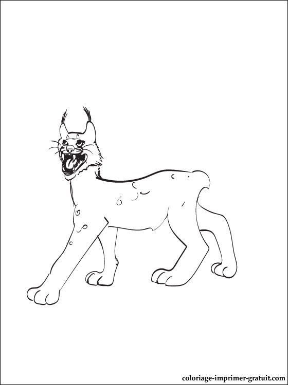 coloriage à dessiner lynx ligne