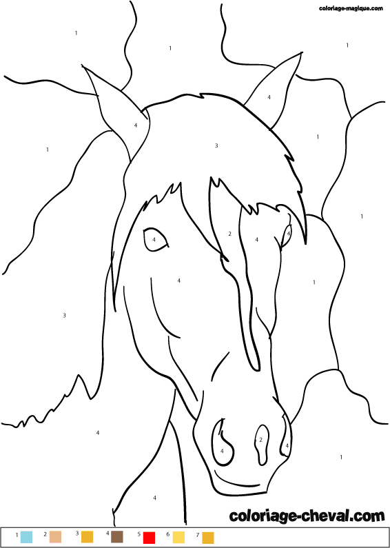 coloriage magique cheval pour ce2