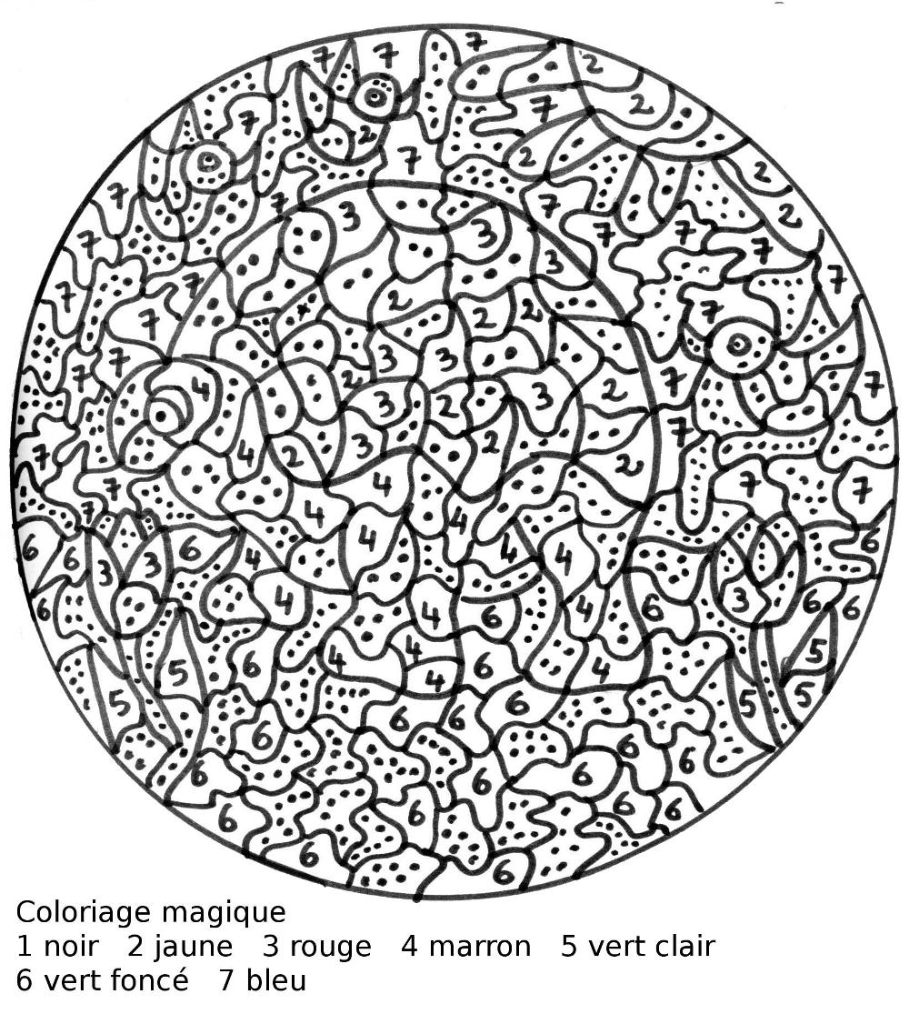 coloriage magique ms