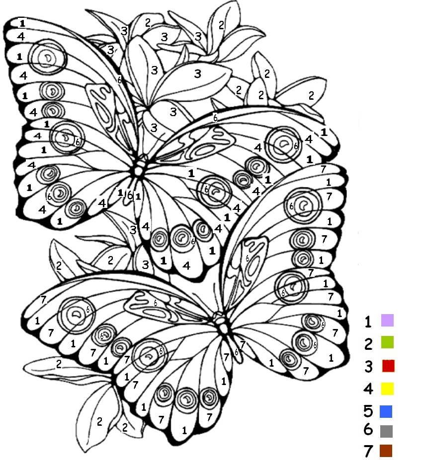 coloriage magique papillion