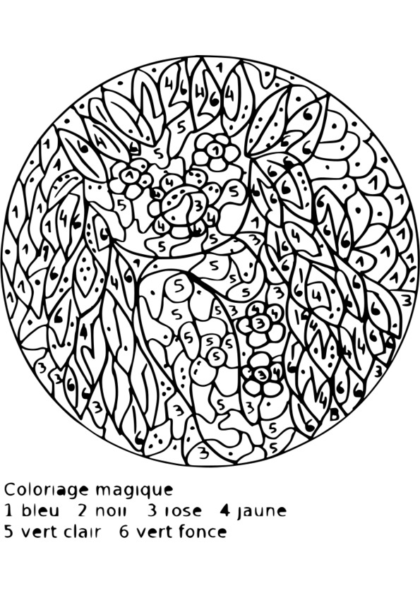 coloriage magique interactif