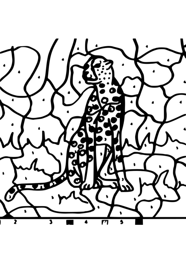 coloriage magique il elle cp