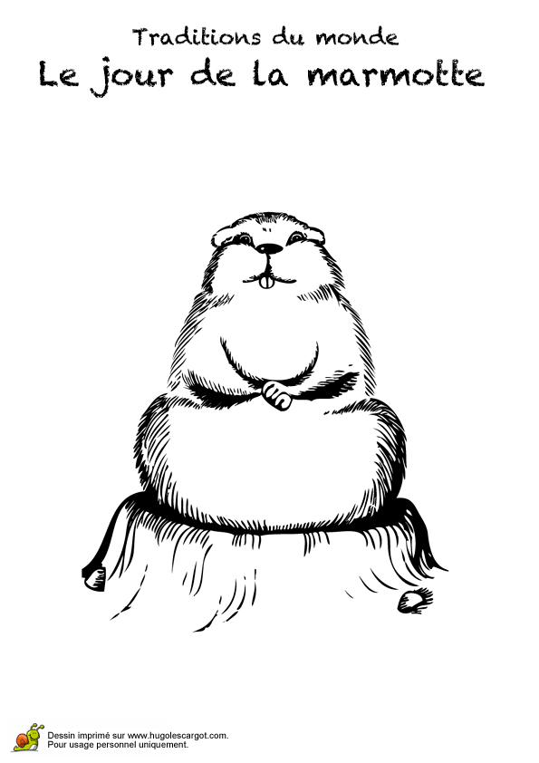 dessin à colorier marmotte imprimer gratuit