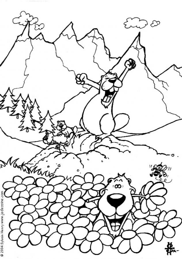 coloriage à dessiner marmotte montagne