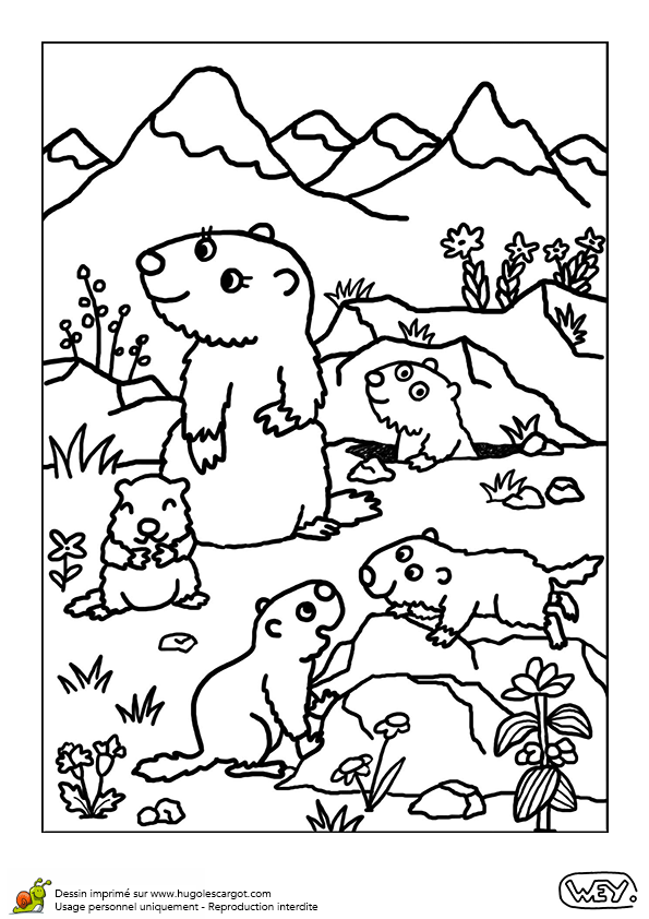 dessin à colorier marmotte a imprimer