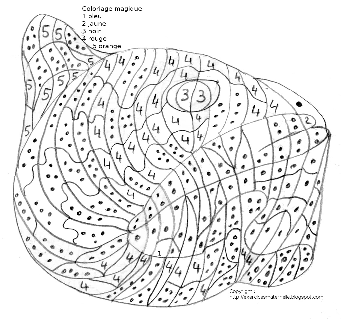 coloriage ƒ dessiner maternelle moyenne section imprimer