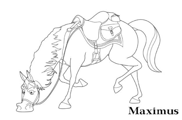 dessin à colorier cheval maximus