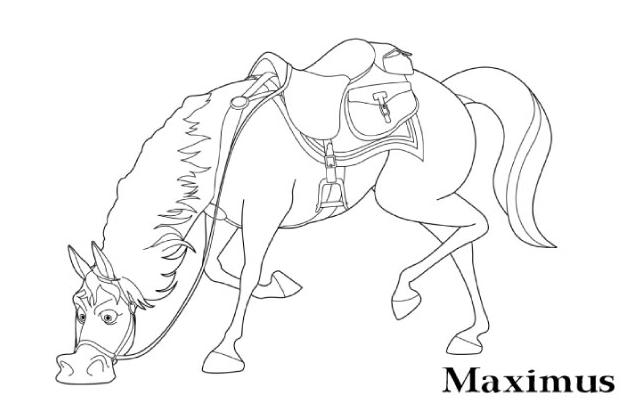 dessin  colorier cheval maximus