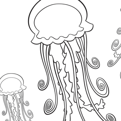 dessin méduse