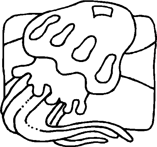 Coloriage Méduse à colorier - Dessin à imprimer coloriage à dessiner de méduse
