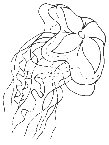 dessin � colorier gorgone meduse