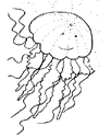 coloriage à dessiner méduse