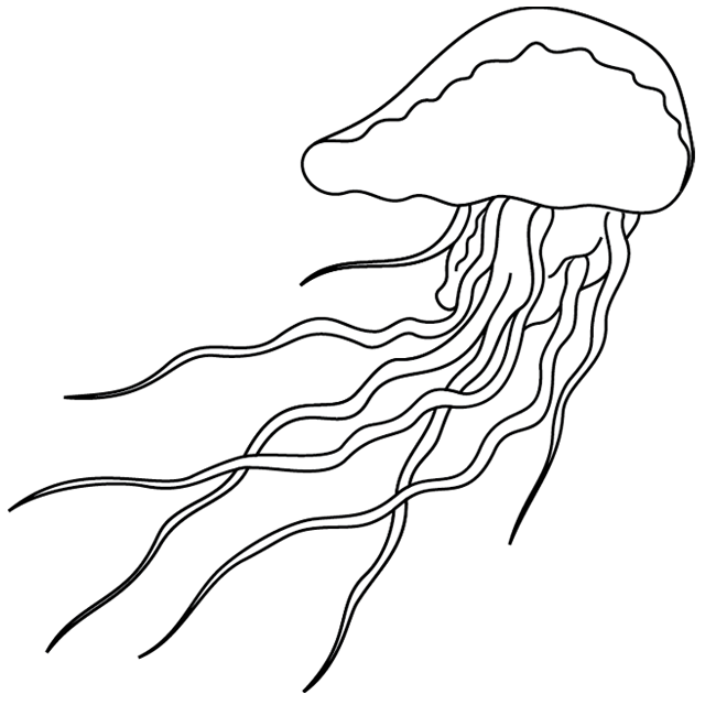 dessin meduse imprimer