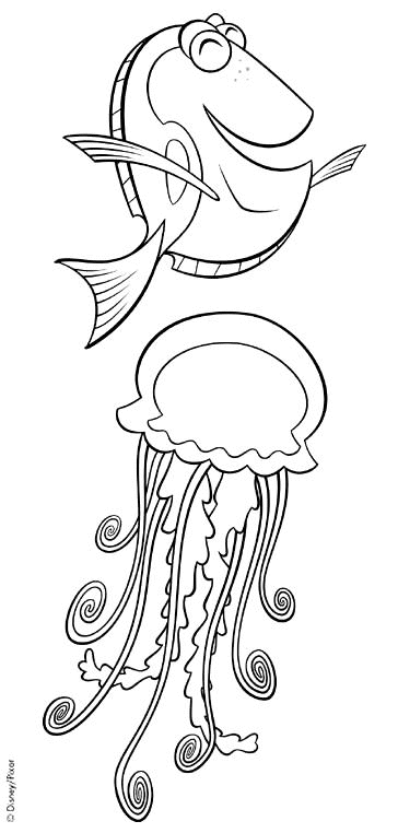coloriage à dessiner gorgone meduse