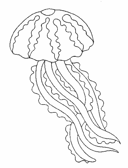 coloriage de méduse