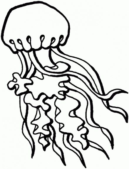 Coloriage Méduse à colorier - Dessin à imprimer dessin méduse coloriage