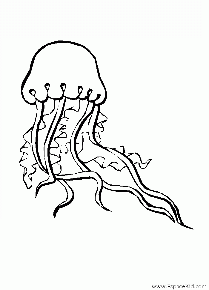 coloriage gorgone meduse