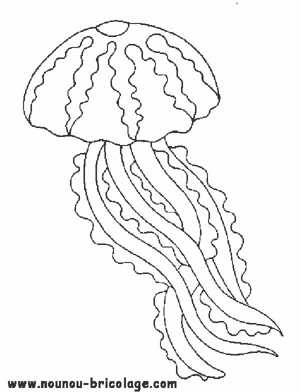 dessin à colorier meduse imprimer