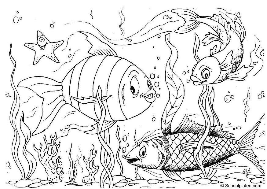 hugo l'escargot dessin à colorier mer