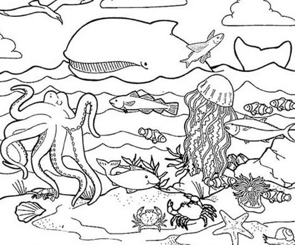 coloriage à dessiner animaux mer imprimer