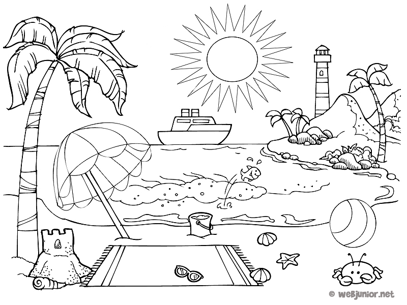 coloriage tortue de mer gratuit