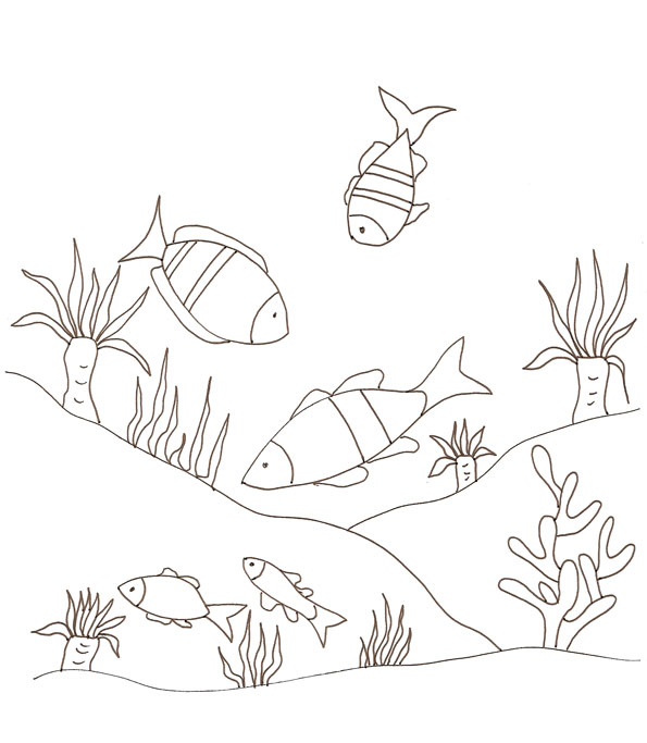 coloriage tortue de mer gratuit