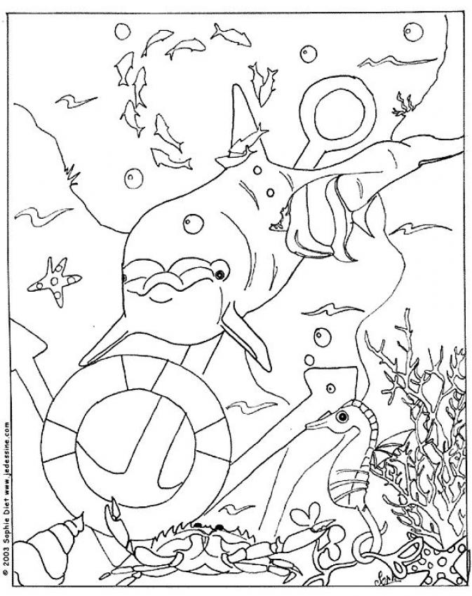 dessin à imprimer mer et poissons