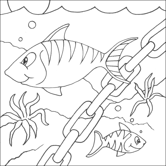 dessin  colorier d'toile de mer