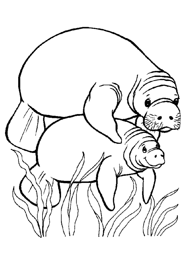 Coloriage Morse à colorier - Dessin à imprimer dessin morse