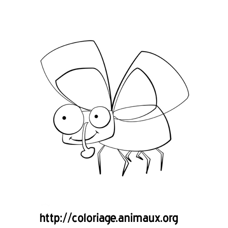 coloriage  dessiner d'une mouche
