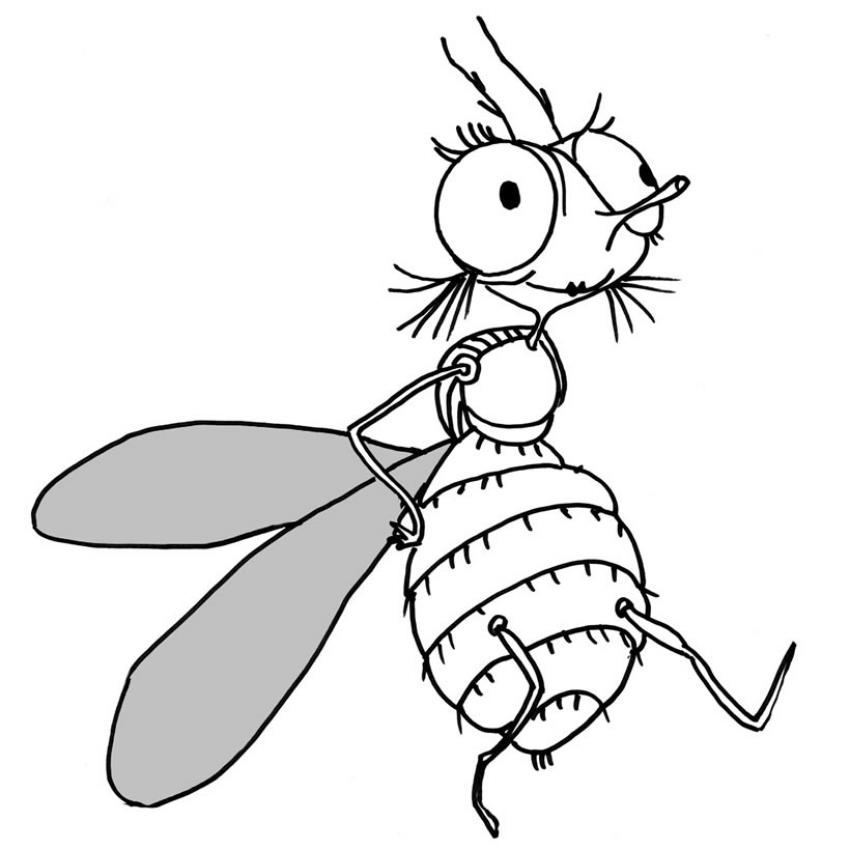dessin à colorier amanite tue-mouche