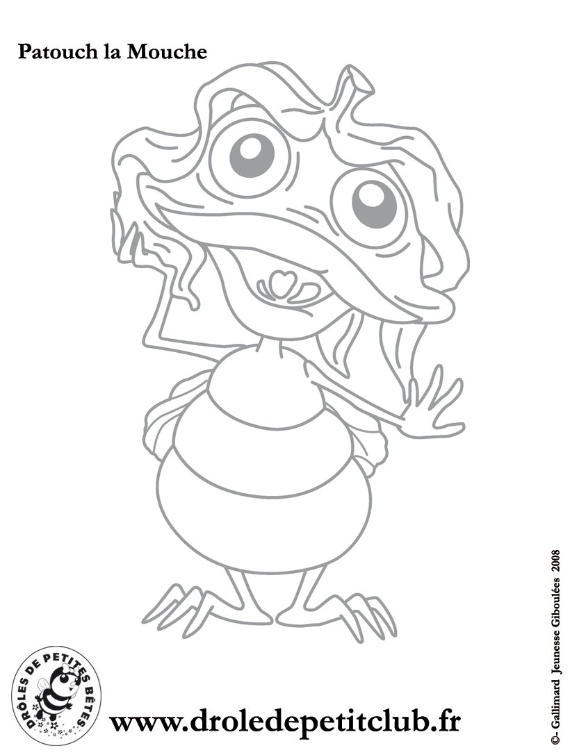 coloriage de mouche gratuit