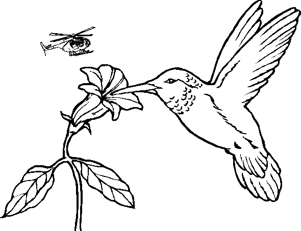 coloriage à dessiner mr mouche
