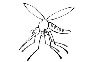 coloriage à dessiner de moustique