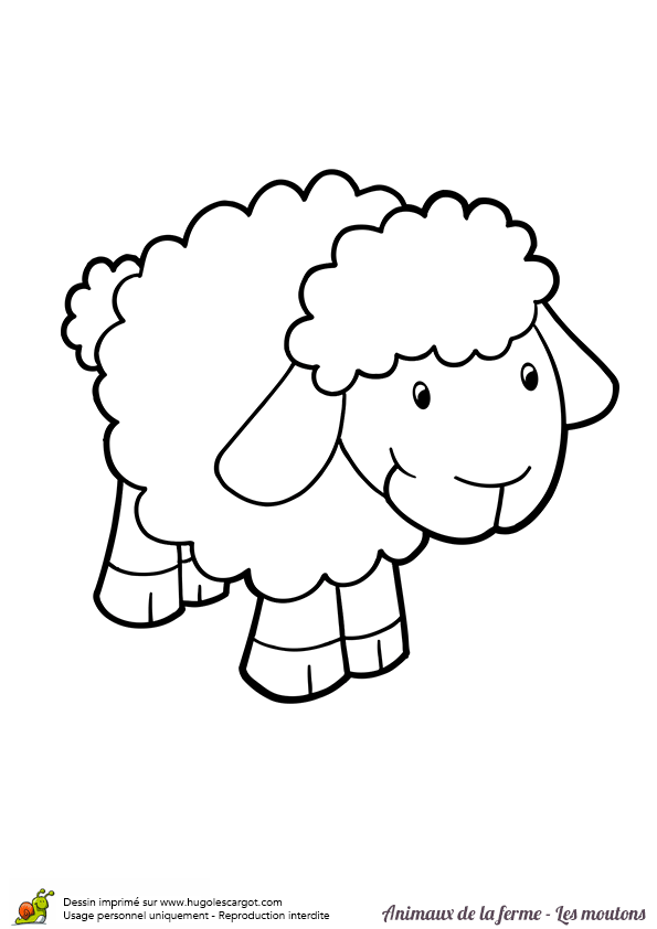 image dessin à colorier mouton