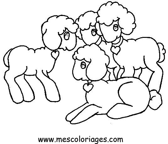 dessin à colorier bebe mouton
