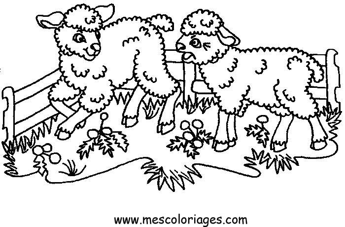 Dessin acolorier magique mouton