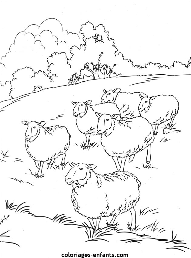 colorier des moutons