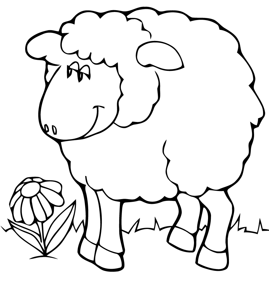 mouton en coloriage