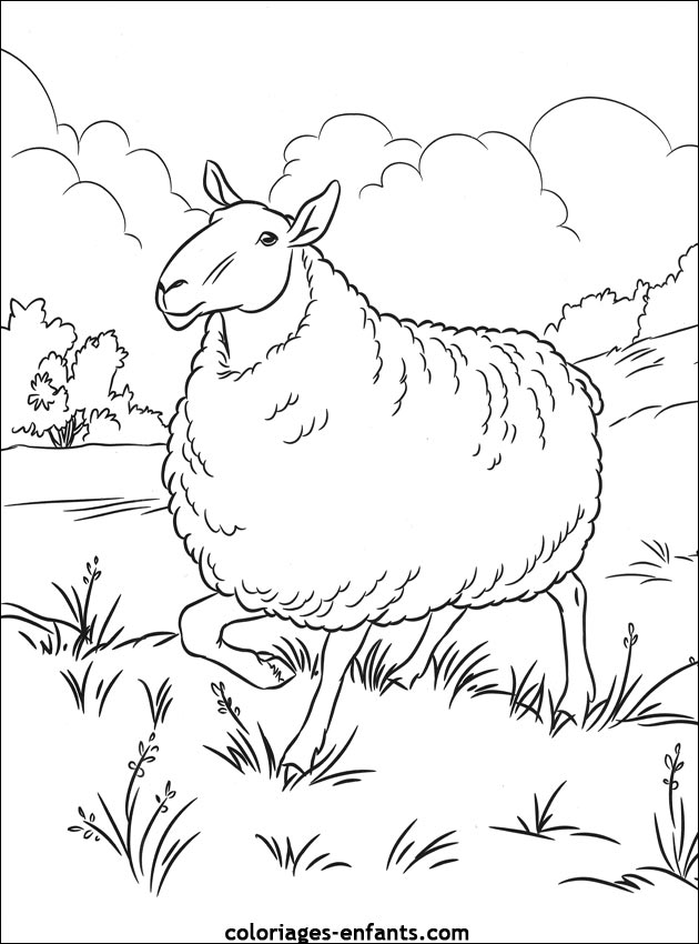dessin mouton en ligne