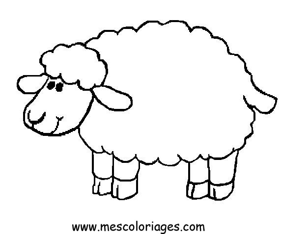 dessin le mouton
