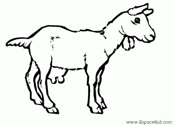 image coloriage mouton