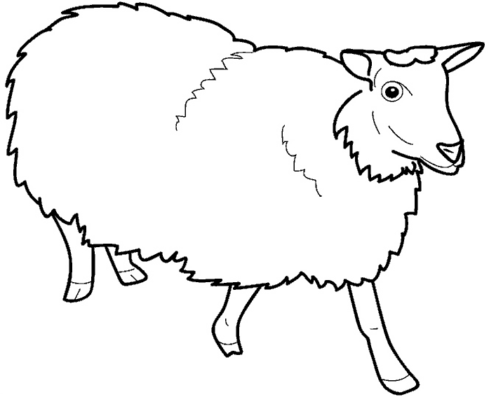 coloriage � dessiner raymond le mouton
