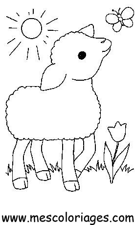 coloriage gros mouton
