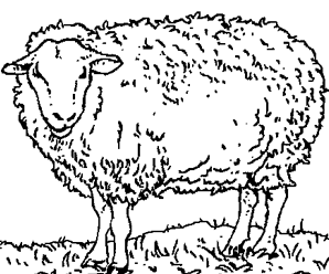 dessin à colorier shaun le mouton gratuit