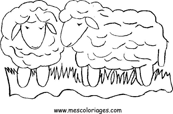 coloriage à dessiner russell le mouton