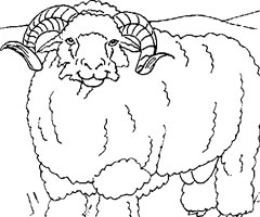 dessin à colorier à imprimer mouton