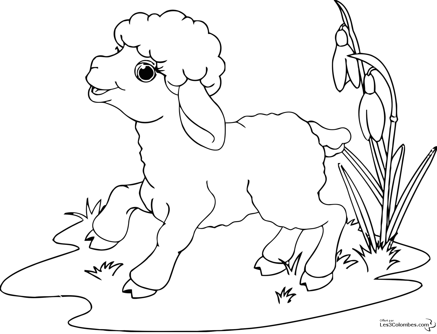 coloriage mouton